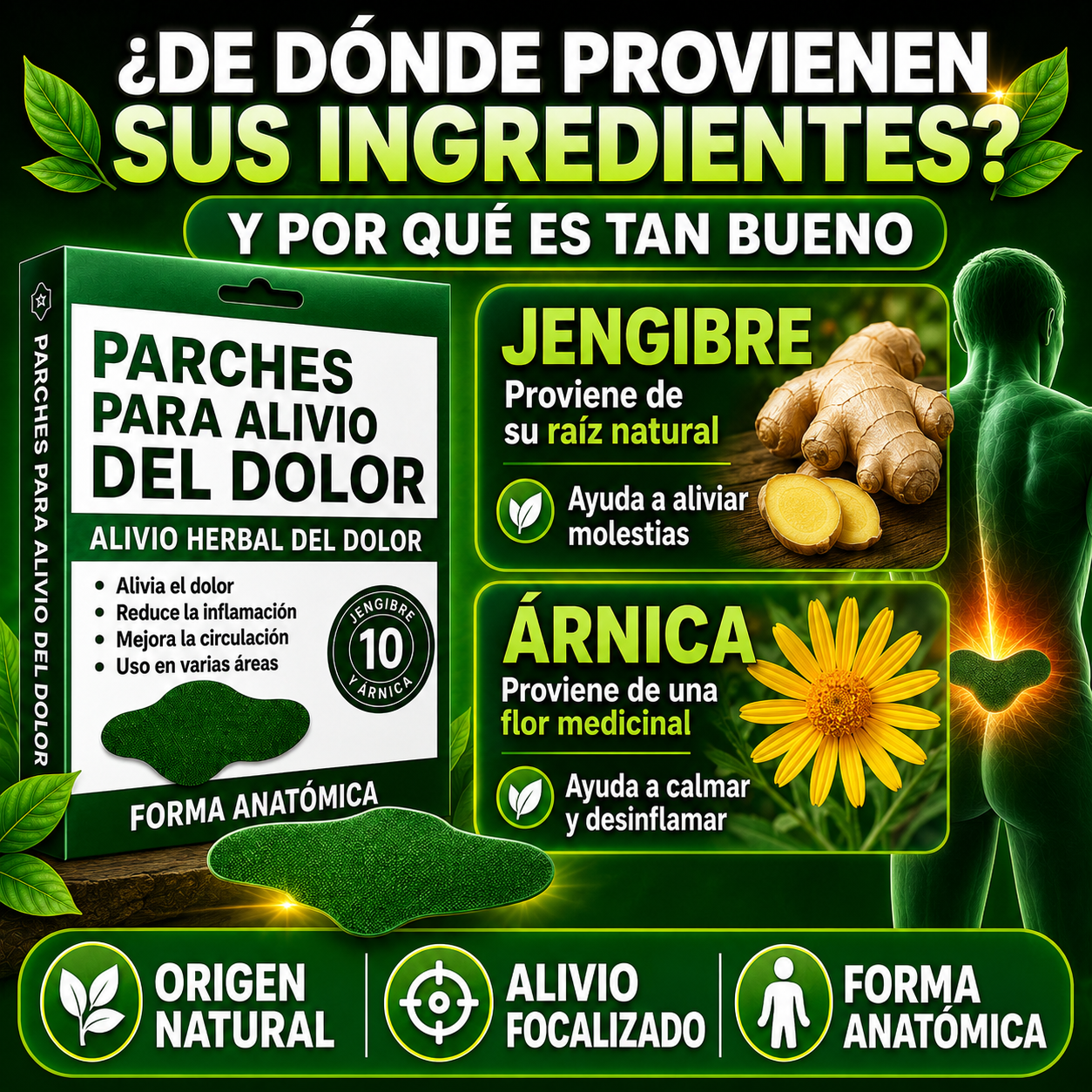 HerbalPatch™ - Alivio herbal para espalda, cintura y tensión muscular