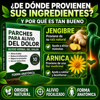 HerbalPatch™ - Alivio herbal para espalda, cintura y tensión muscular