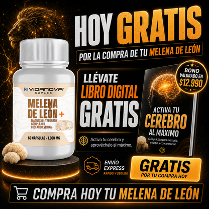 MELENA DE LEON FORTIFICADA