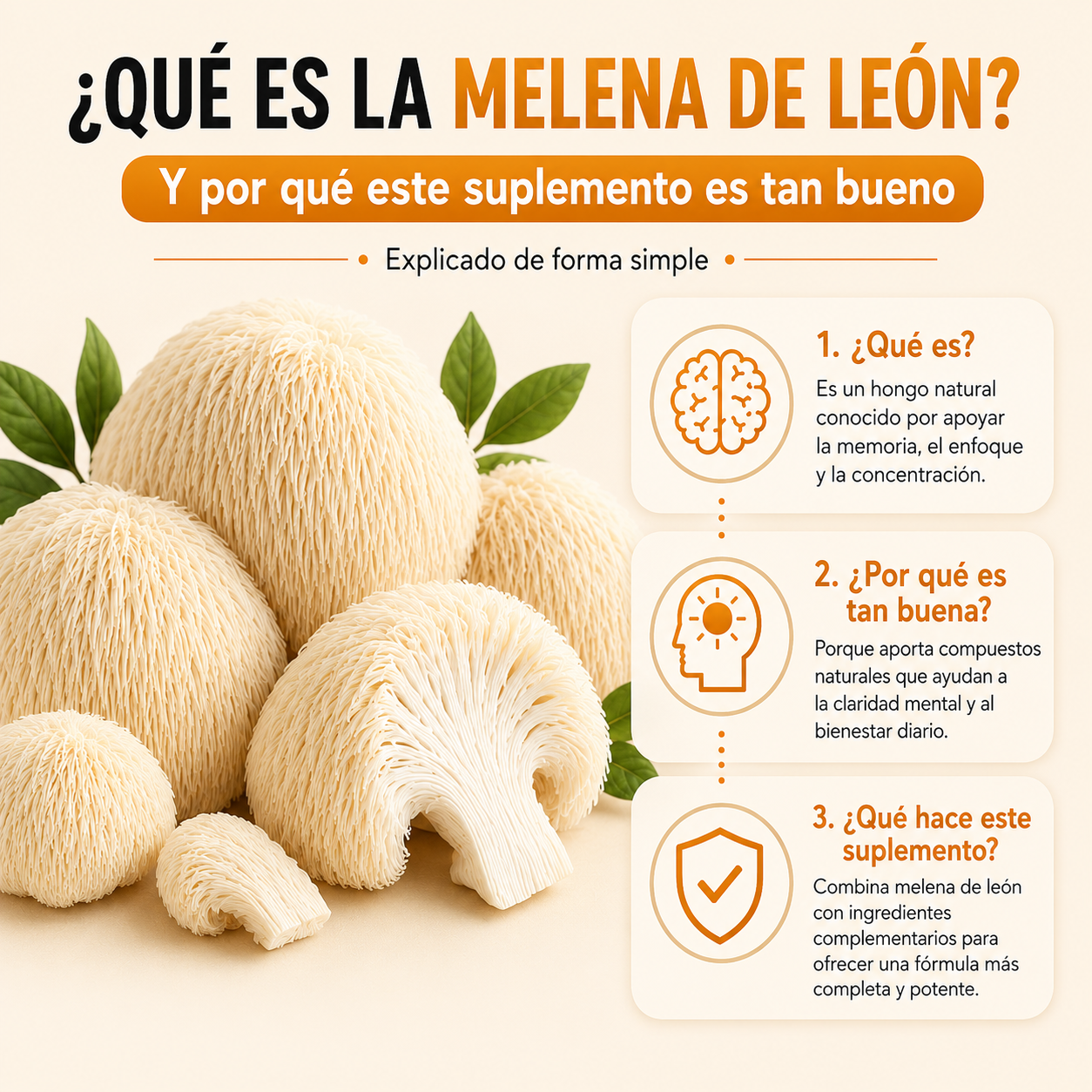 MELENA DE LEON FORTIFICADA